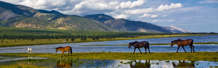 Природа родного края